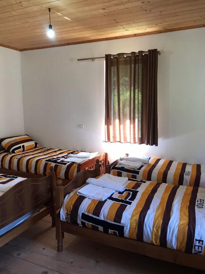Elvis Blini Thethi Hotel Bagian luar foto