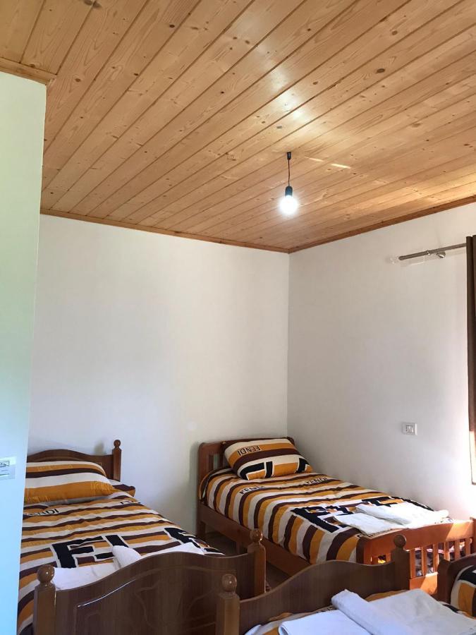 Elvis Blini Thethi Hotel Bagian luar foto