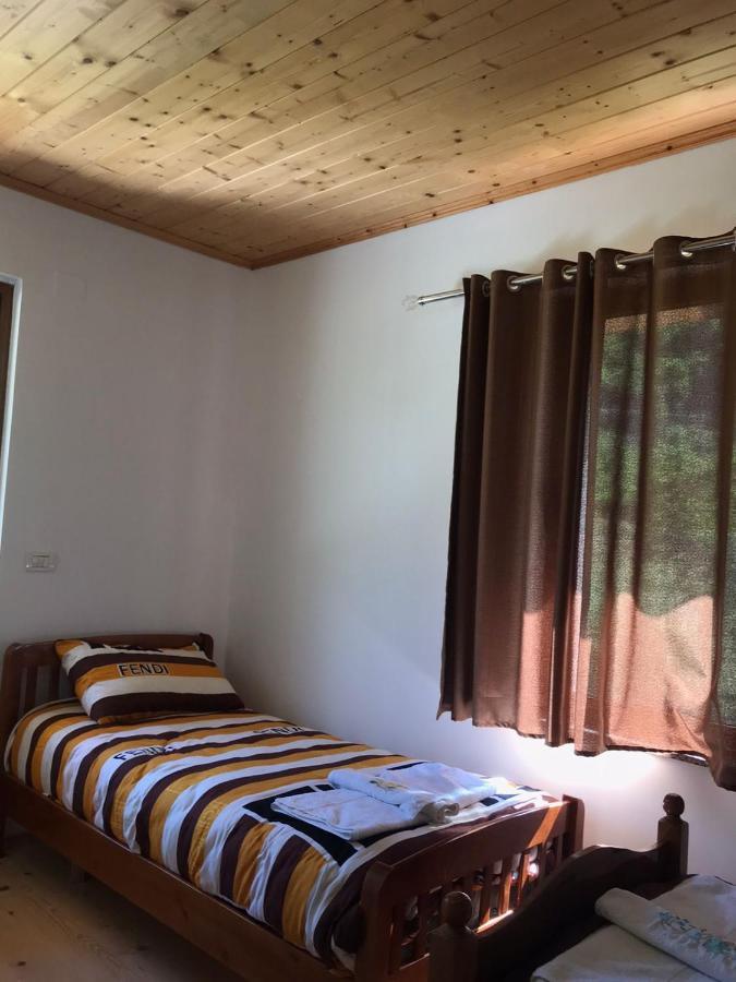Elvis Blini Thethi Hotel Bagian luar foto