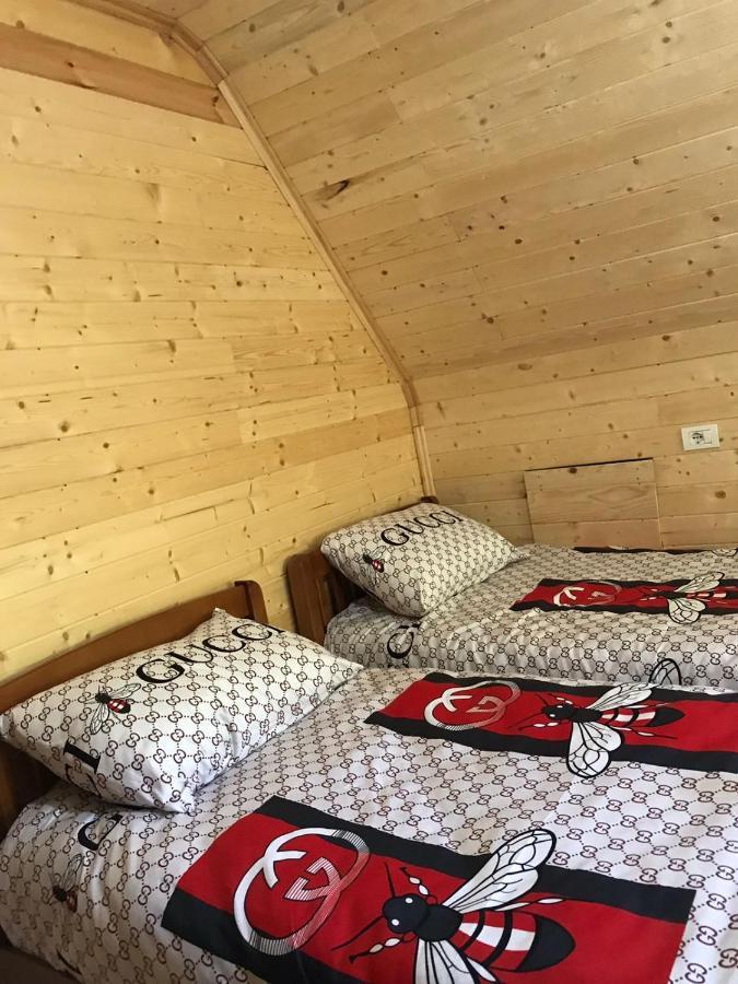 Elvis Blini Thethi Hotel Bagian luar foto