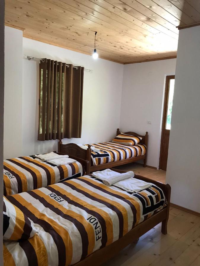 Elvis Blini Thethi Hotel Bagian luar foto