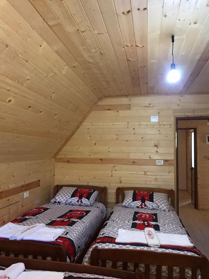 Elvis Blini Thethi Hotel Bagian luar foto