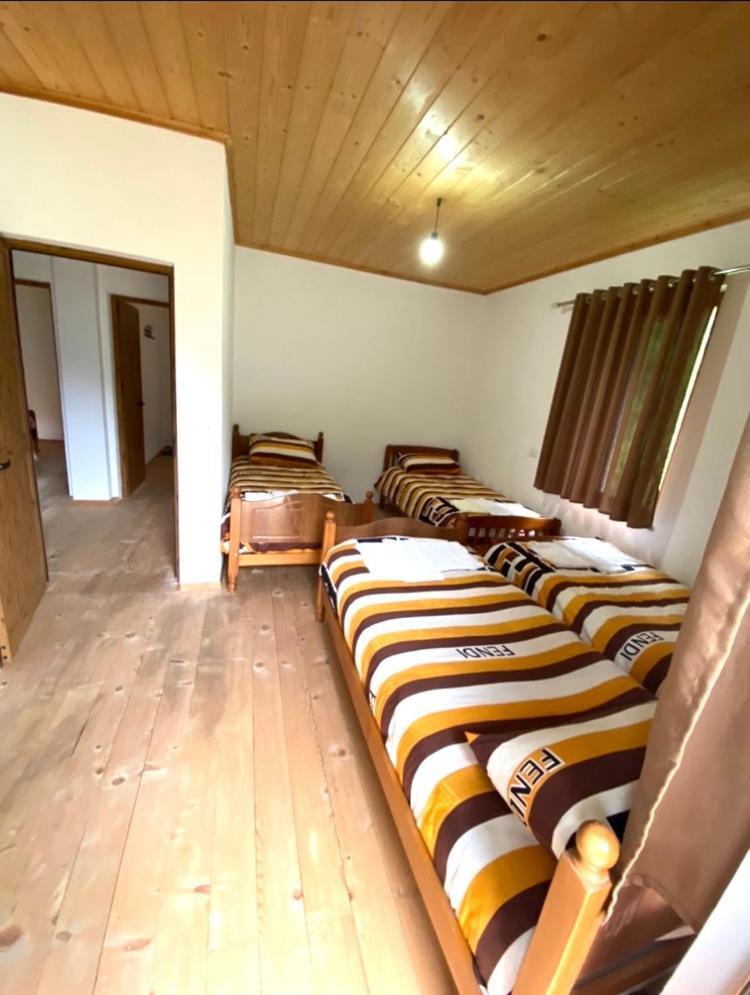 Elvis Blini Thethi Hotel Bagian luar foto